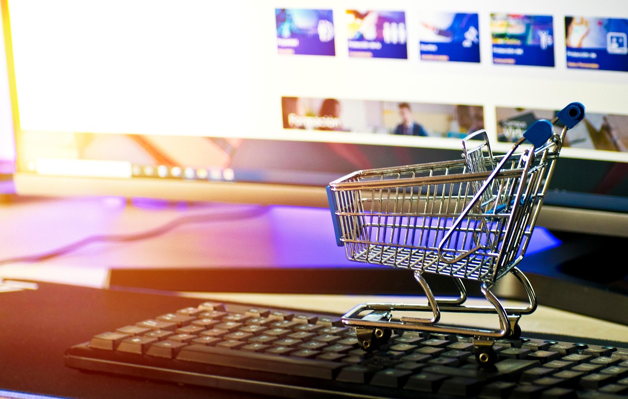 BS E-commerce & Digital Marketing